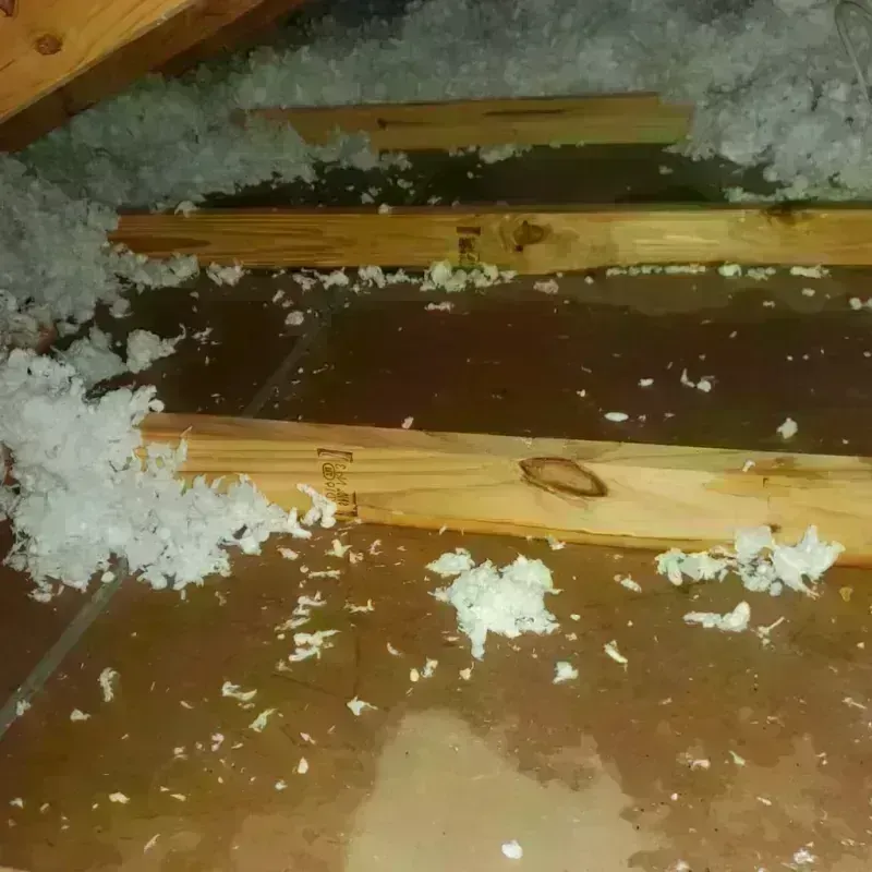 Attic Water Damage in Henderson County, KY